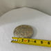 Vintage Chambers Phoenix 24K Gold Plate Belt Buckle