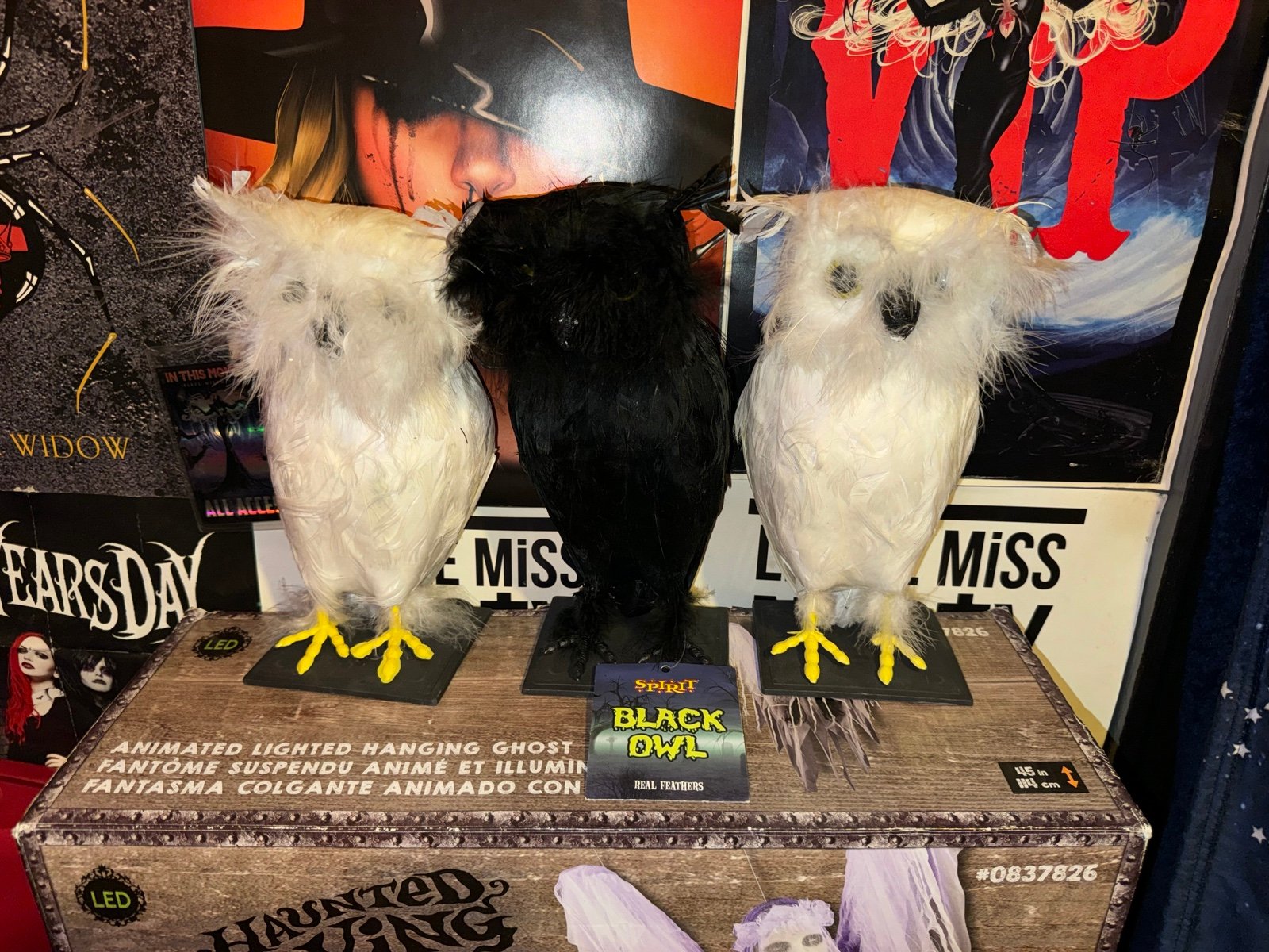 Spirit Halloween 2009 Cemetery Owl Lot of 3 Rare Halloween Prop Decor New