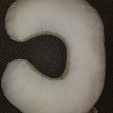 Boppy lot