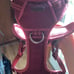 2 bran new dog harness one medium one large