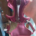 2 bran new dog harness one medium one large