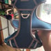 2 bran new dog harness one medium one large