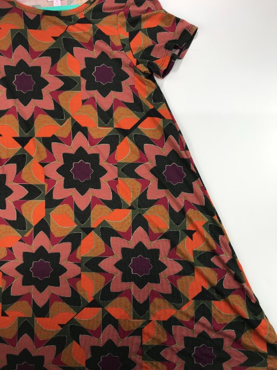 LuLaRoe Floral Fall Coloured Carly Dress