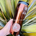 NWT Starbucks Pike Place Original Logo Metallic Bronze SS Tumbler