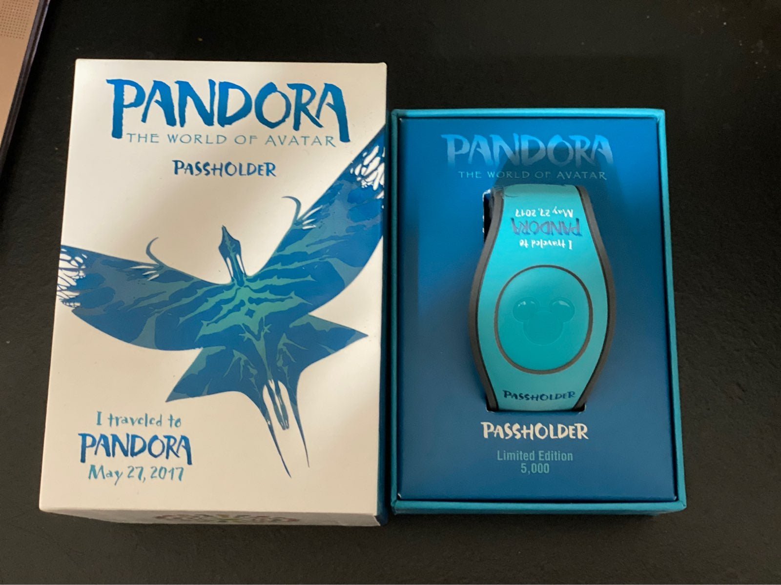 Magic Band Pandora PassHolder