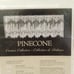 Heritage Lace PINECONE Swag&Tier Set NEW