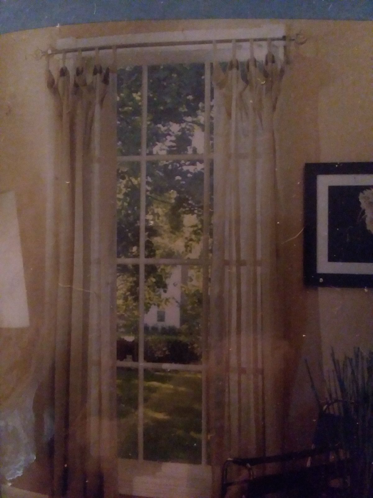 6 panels of sage green 51 inches w x 84