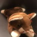 Beanie Babie