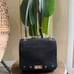 MCM 2 way sling bag