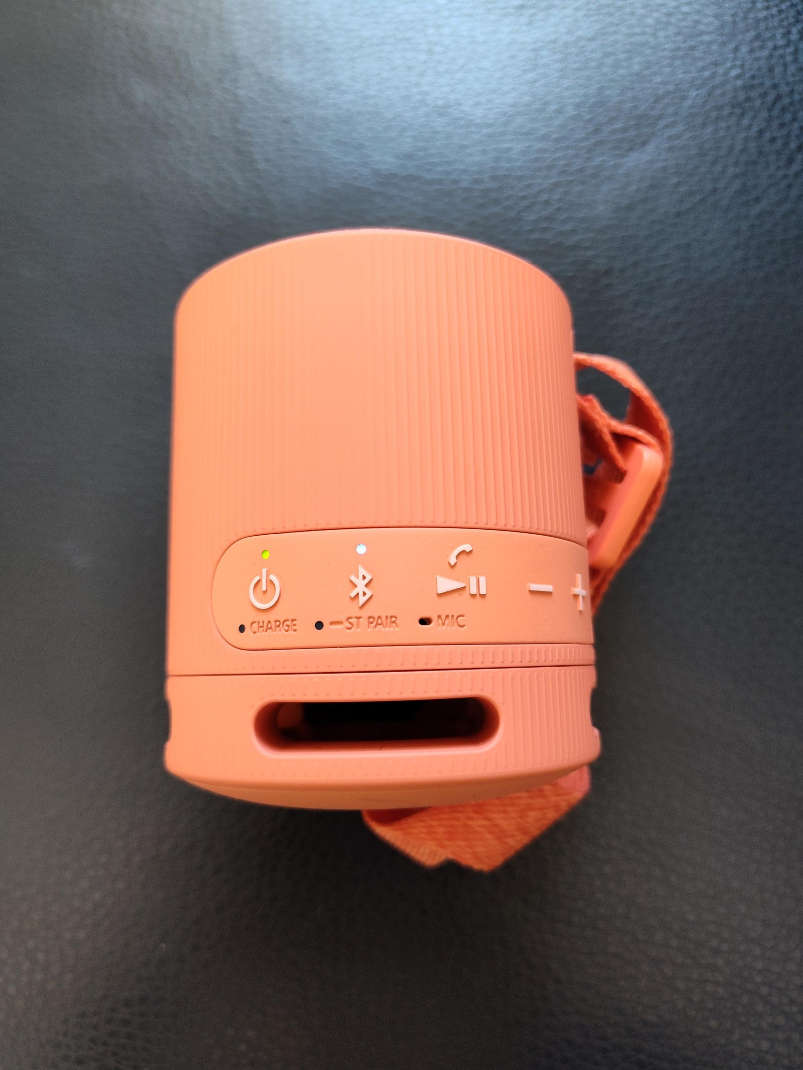 Sony Wireless Bluetooth Portable Speaker