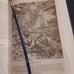 The Jewish Voice Bible Rare Blue Edition TLV