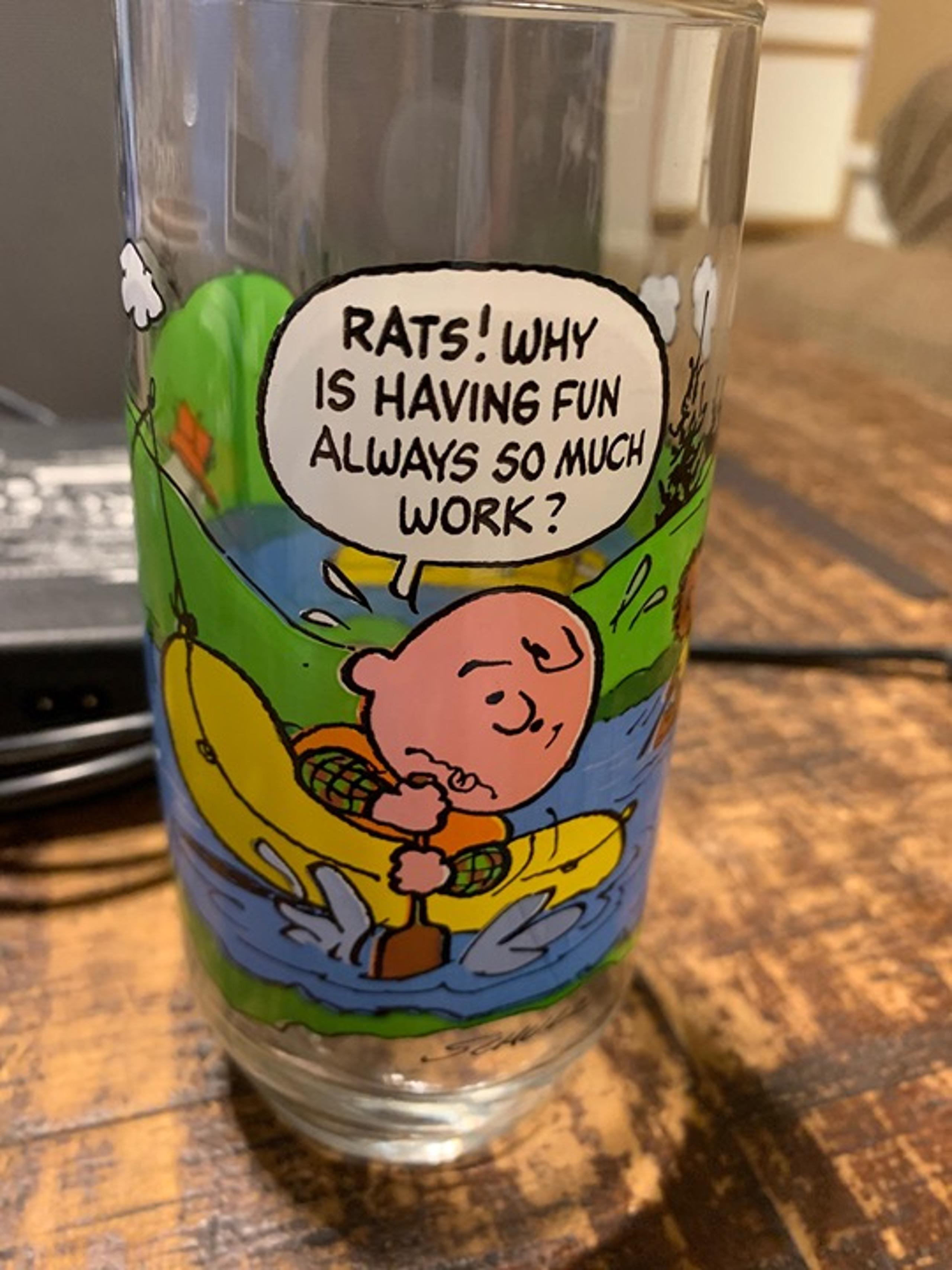GlassMcDonalds Peanuts Camp Snoopy Tumbler Glass 1983 Vintage Charlie Brown