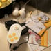 Medela “Pump In Style” DOUBLE ELECTRIC BREAST PUMP