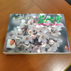 Cherry blossom blizzard