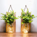 Rustic Wall Sconces, Mason Jar Sconces, Farmhouse Home Decor, LED Fairy Lights,