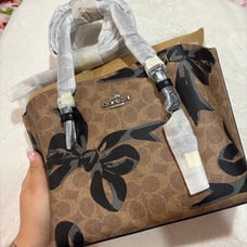 Coach Mollie Tote Bag 25