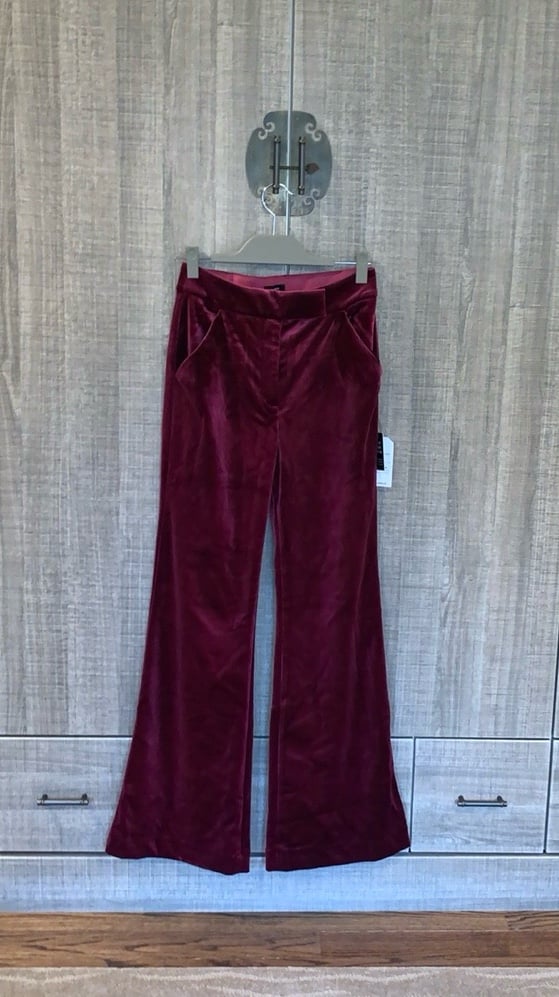 Express Velvet “The Editor Pant”