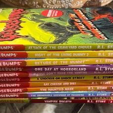 Goosebumps book bundle