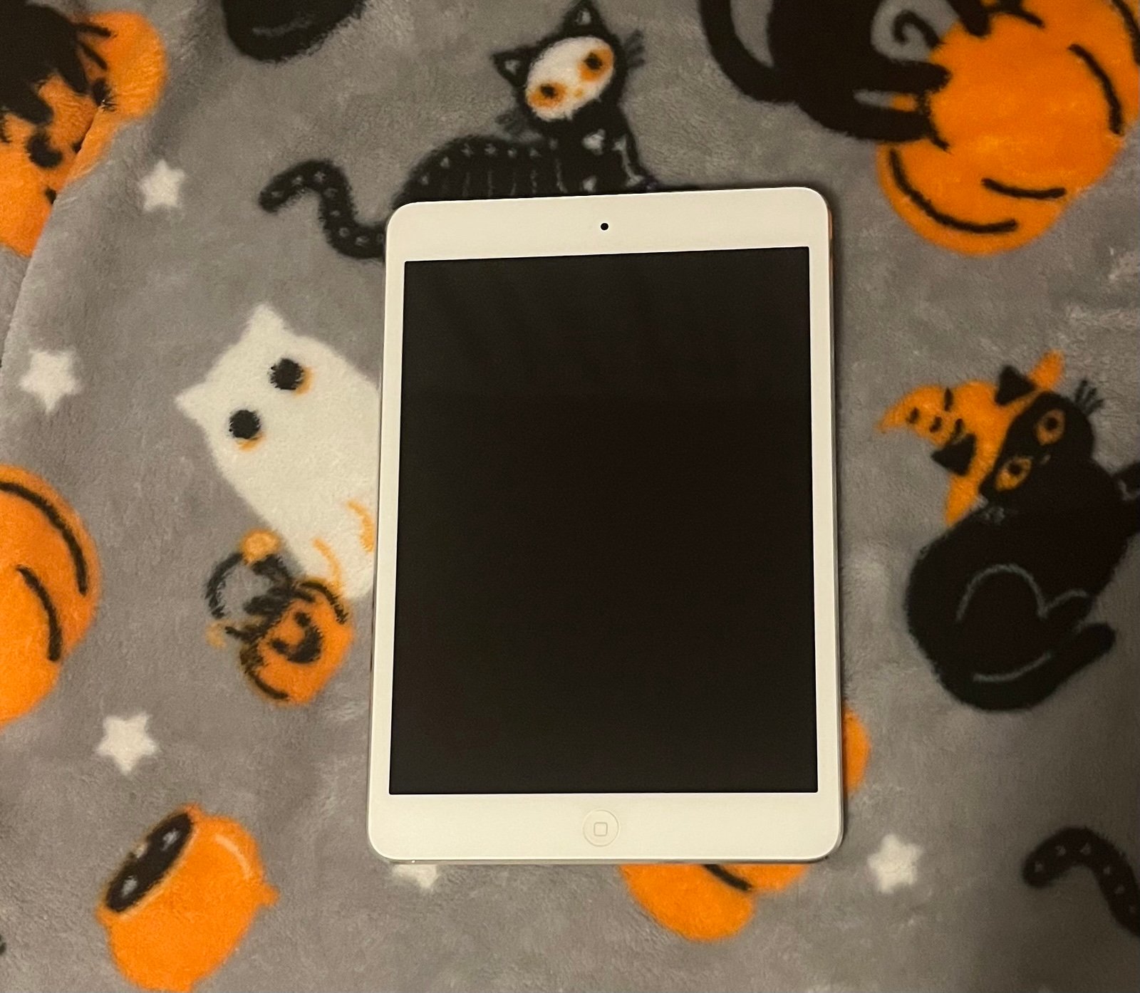iPad Mini 2