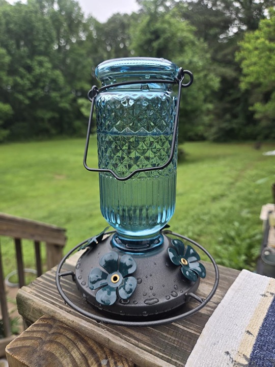 FEED GARDEN Glass Hummingbird Feeder for Outdoors Hanging, 16 OZ Humming Birds F