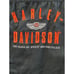 Harley Davidson 100 Years Anniversary Button Shirt Men Medium Motorcycles Shied