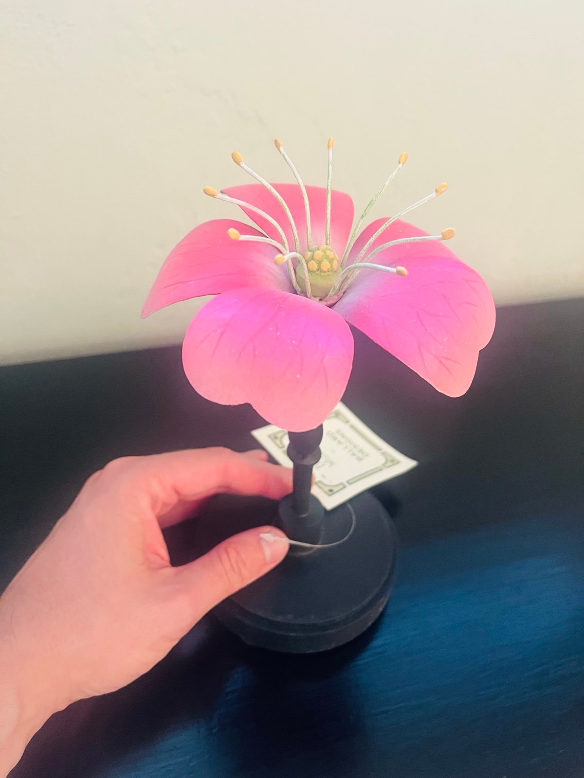 Beautiful floral botanical model science nature decor vintage looking