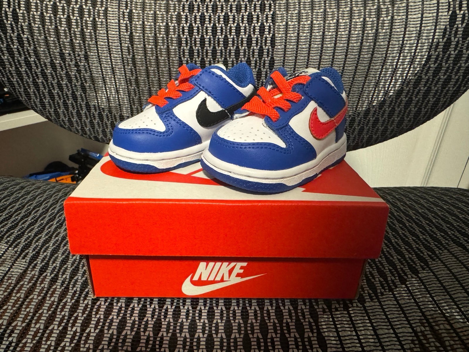 Nike Dunk Low (TDE) — Size 2c