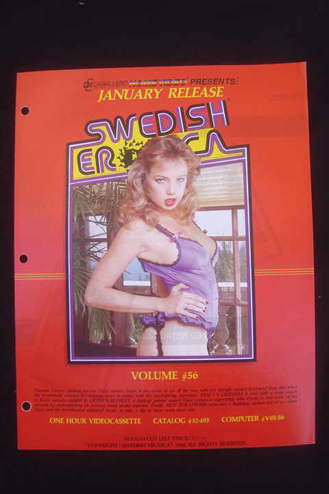 Tracy Lords Swedish Erotica Ad Slick Flyer XXX Adult Traci