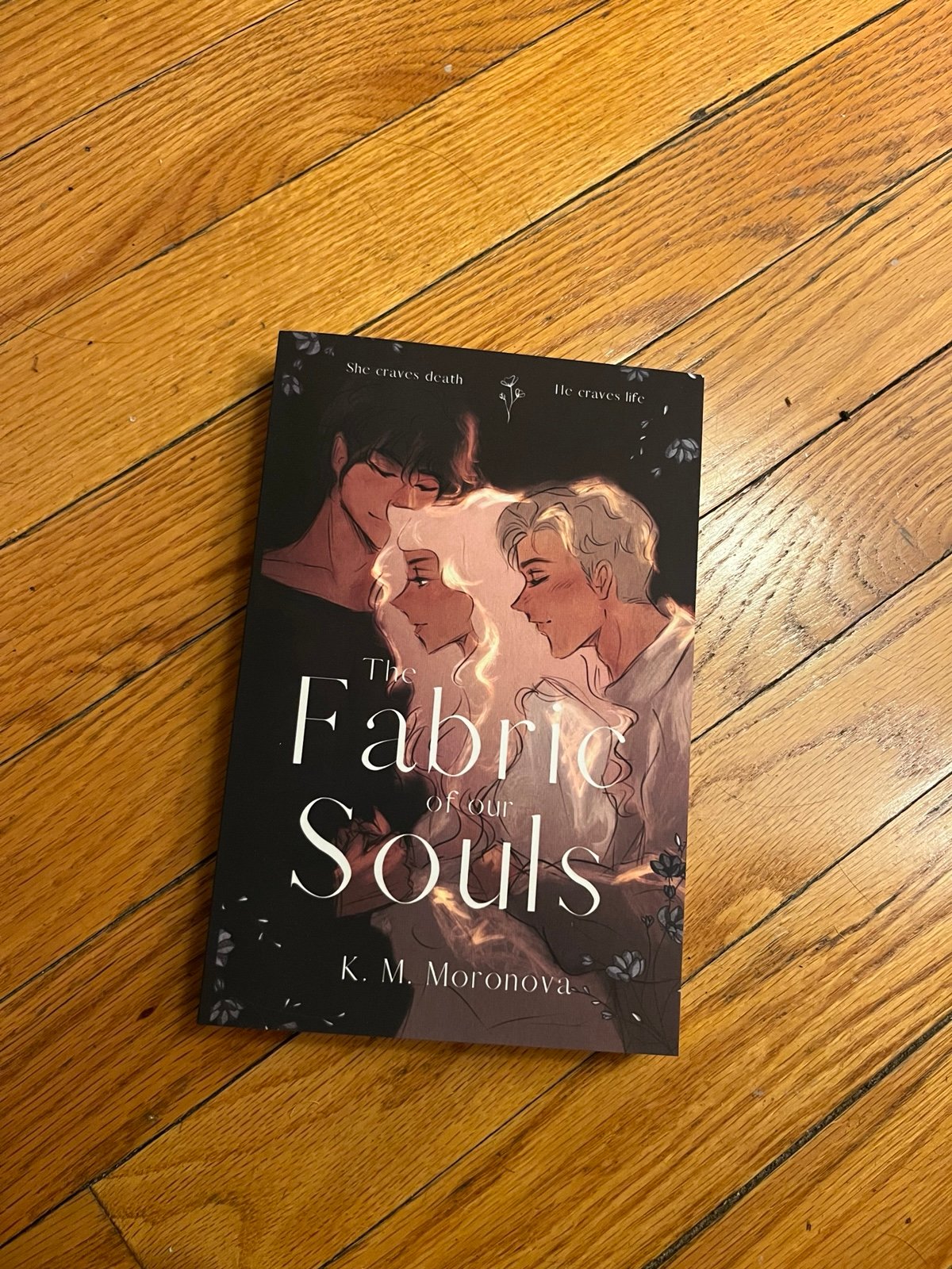 The Fabric of Our Souls K.M. Moronova OOP indie edition