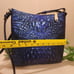 Brahmin Katie Mirage
