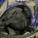 Kelty Starfish Kids' Daypack / Backpack 50oz (Grape/Charcoal)