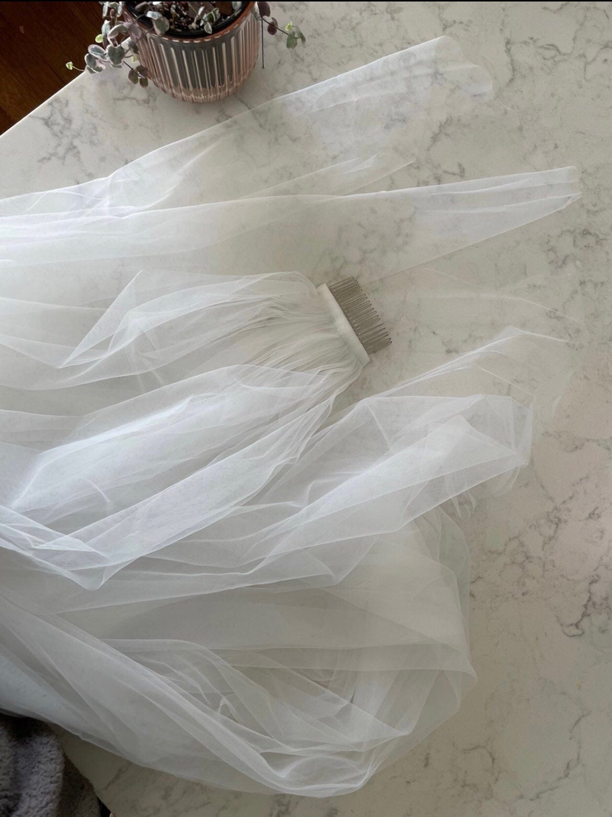 Ivory cathedral veil