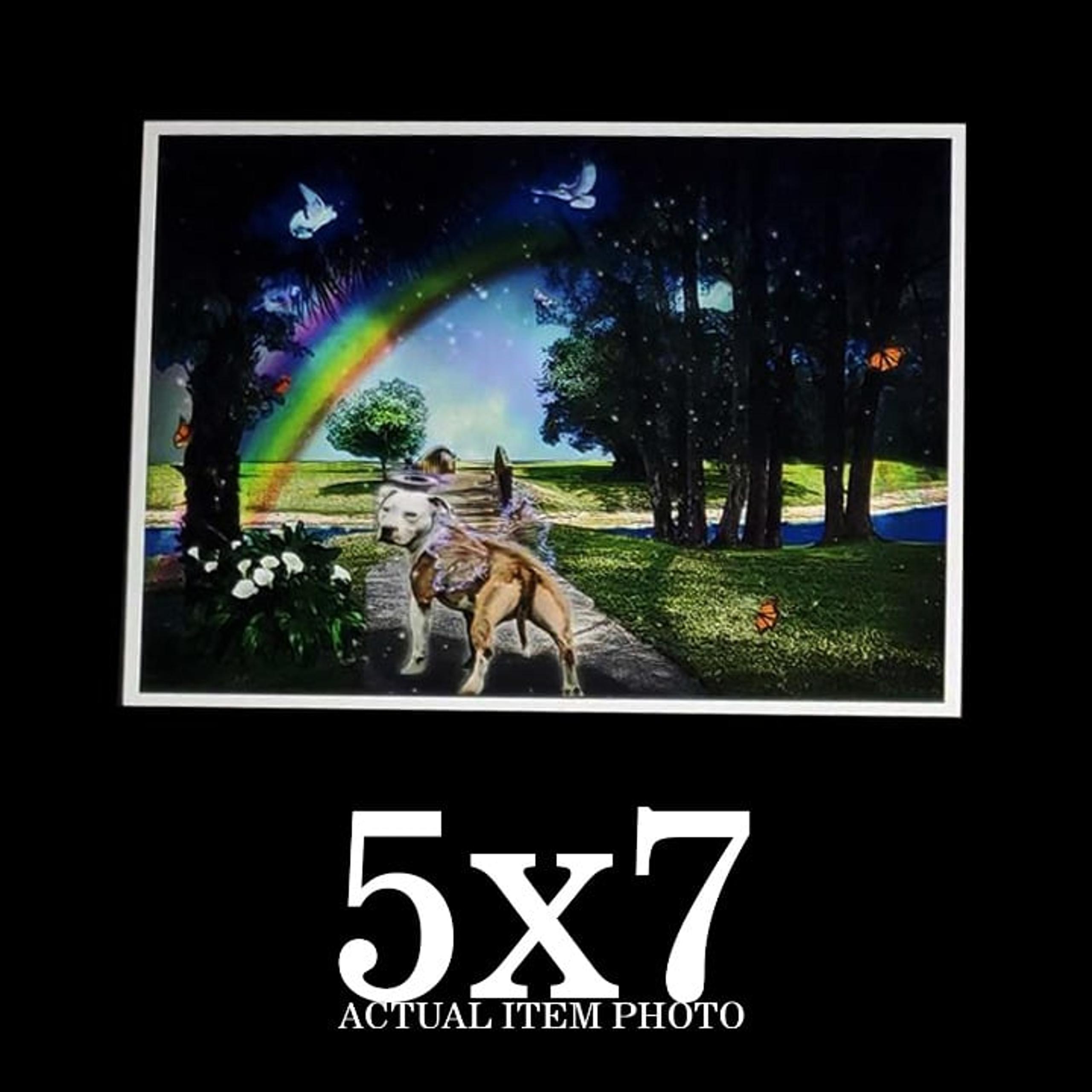 Pitbull AmStaff Dog Rainbow Bridge Wings Angel Halo Memorial Art Print  5x7