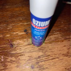 air freshener