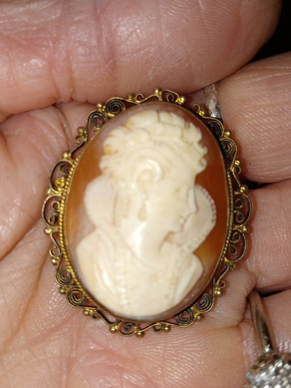 Cameo pendant/ pin