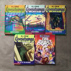 Vintage R. L. Stine Goosebumps Books The Beast 2 Paperback Horror Fiction