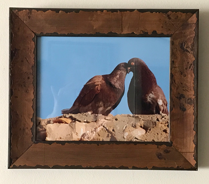 11x14 Lovebirds - Tunisia, Framed Photo by Noora Elkoussy - HOME