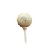 Vintage Hole In One Wood Plaque With Titleist Golf Ball