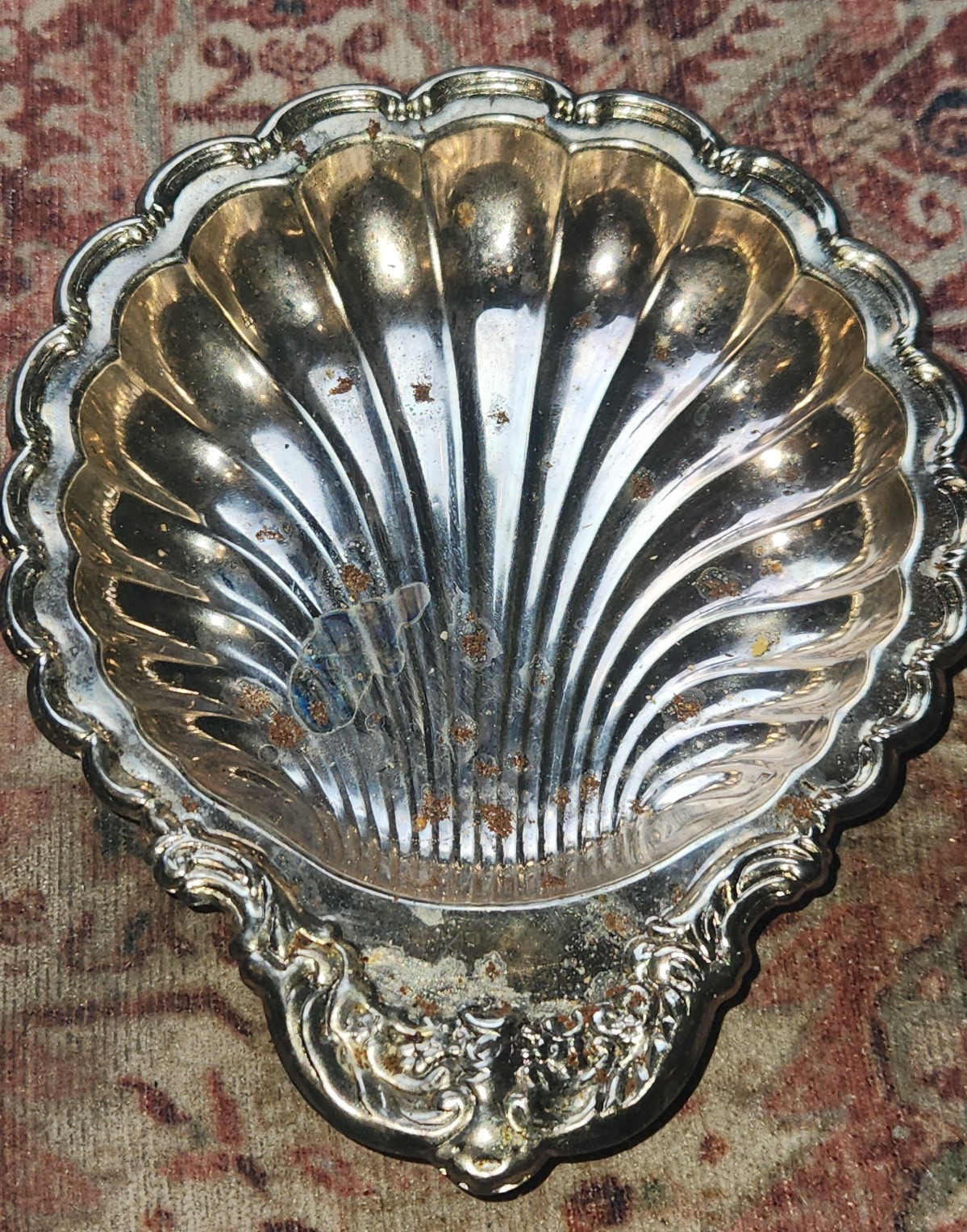 Leonard Silver Plated Clamshell Collection