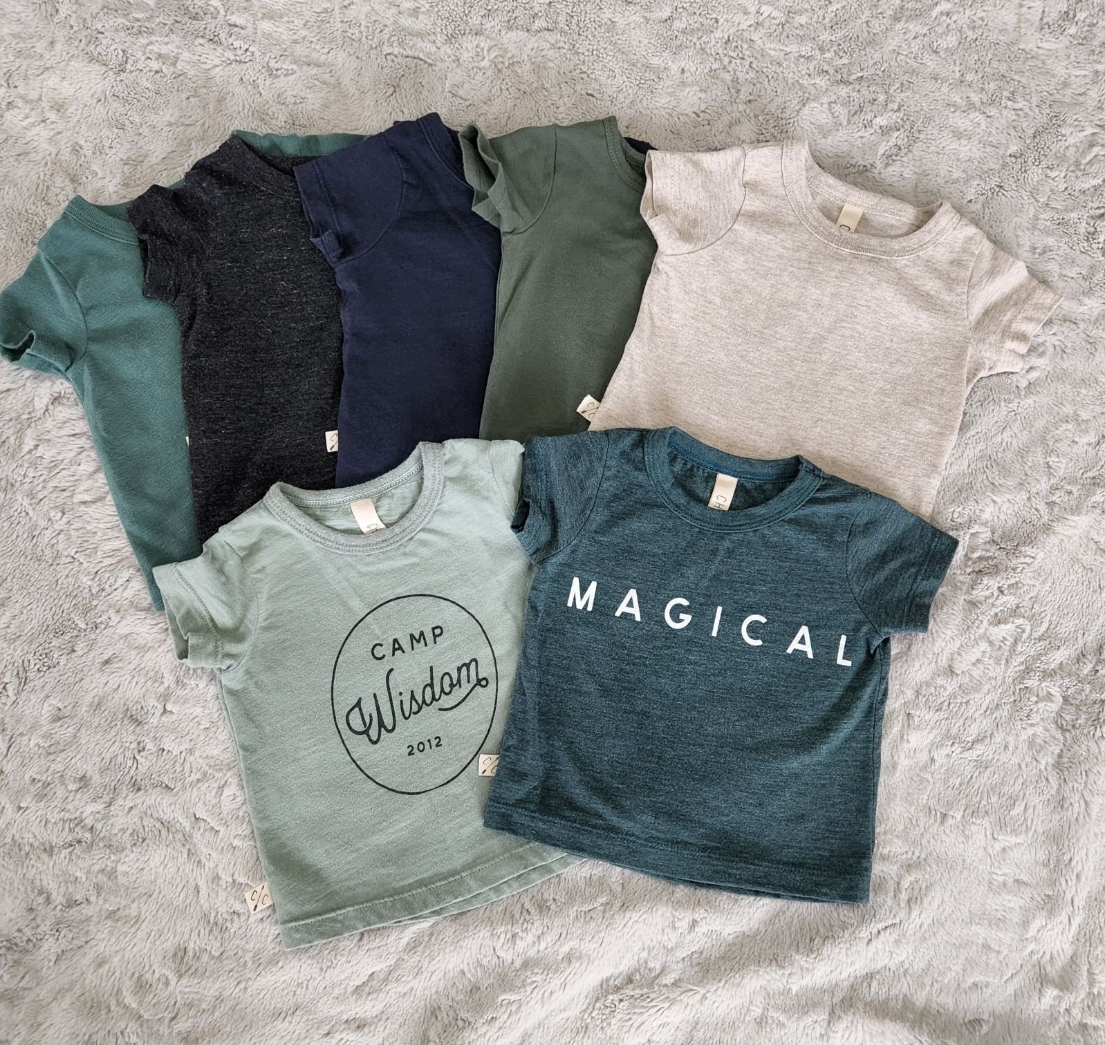 Childhoods Clothing 3/6 basic tee bundle