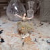Vintage Dresden Ballerina lace green