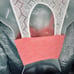 Urban Outfitters Pins & Needles Coral Pink Lace Bustier Crop Top Shirt ~ X-Small