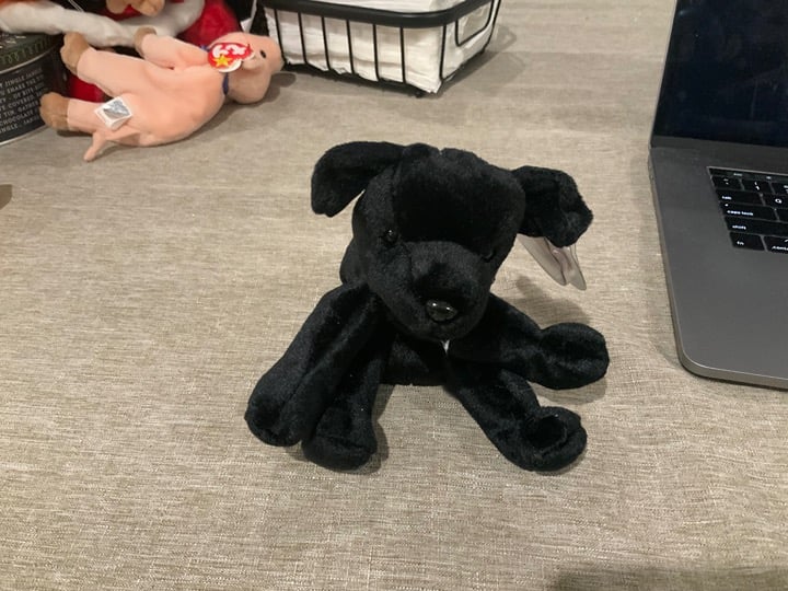 RARE and ADORABLE Luke the Labrador Ty Beanie Baby NWT