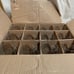 Libbey 13oz Belgian beer glasses 12ct