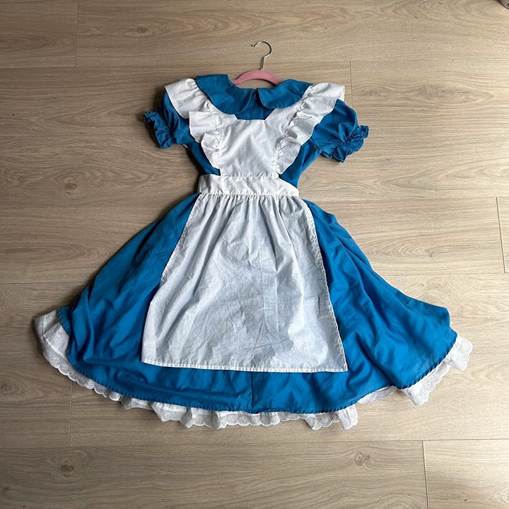 Alice In Wonderland Costume