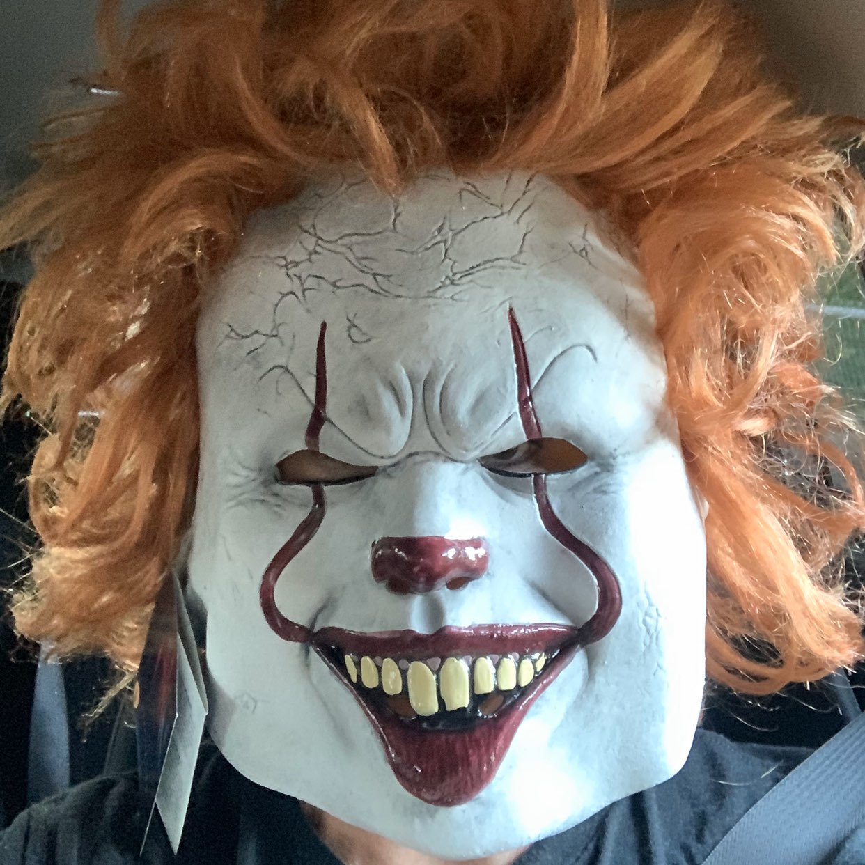 Adult Halloween mask