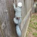 Climbing Squirrel Figurine - Garden Decor for Outside, Yard Art Squirrel