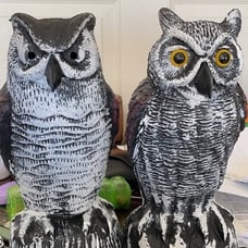 2 Packs Fake Plastic Owl Bird, Garden owl Statue,Can Repel Pigeons Away