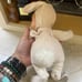 Anna Geddes dolls