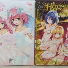 To LOVE-Ru Darkness Art Book Set - 2 Volumes by Kentaro Yabuki